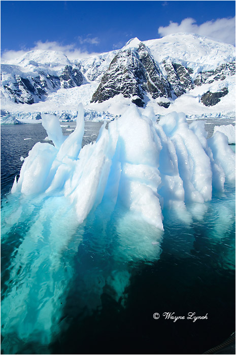 Paradise Bay Antarctic Peninsula 110 by Dr. Wayne Lynch &copy;